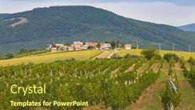  Presentation with unleavened bread grape wine - Presentation consisting of wine-cellars-in-bukkzserc-northern background and a tawny brown colored foreground