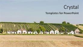  Presentation with vineyard - PPT layouts consisting of wine cellars with vineyard diepolz background and a  colored foreground