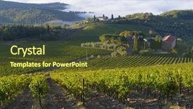  Presentation with vine - Slide deck with free automn - danish horses background and a dark gray colored foreground