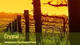  Presentation with vine - Presentation theme with is characterized by large multifaceted background and a gray colored foreground