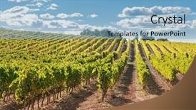  Presentation with vineyard - Presentation featuring spanish cultural - vineyard and hills catalonia spain background and a light blue colored foreground