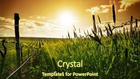  Presentation with vineyard - Audience pleasing slides consisting of vineyard in the barossa valley backdrop and a tawny brown colored foreground