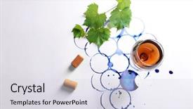  Presentation with water glass - Presentation theme consisting of wine glass and branch background and a sky blue colored foreground