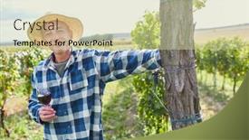  Presentation with harvest - Slide deck having wine-grower-stands background and a soft green colored foreground