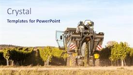  Presentation with harvest - Slides consisting of wine-harvest-in-lower-austria background and a sky blue colored foreground