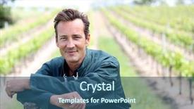  Presentation with five business people standing together and smiling - Presentation design with wine industry - smiling vinegrower standing in vineyard background and a ocean colored foreground