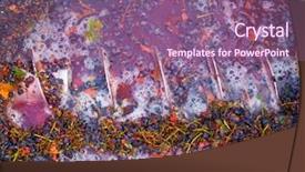  Presentation with corkscrew - Cool new theme with wine industry - winemaking corkscrew crusher destemmer backdrop and a violet colored foreground