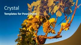  Presentation with wine - Slides enhanced with wine-region-wachau-at-wine background and a ocean colored foreground