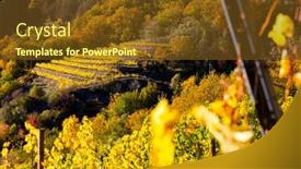  Presentation with harvest - Slide set featuring wine-region-wachau-at-wine background and a tawny brown colored foreground