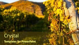  Presentation with wine - Cool new PPT theme with wine-region-wachau-at-wine backdrop and a tawny brown colored foreground