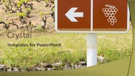  Presentation with biology fungi wine - Slides enhanced with wine-road-near-windmill-moulin and a yellow colored foreground