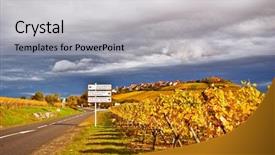  Presentation with route - Presentation featuring wine route in alsace of france background and a light gray colored foreground