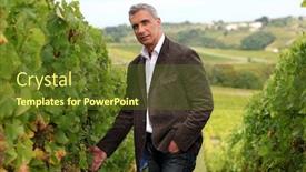  Presentation with vineyard - Slide set enhanced with winegrower-in-the-vineyard background and a tawny brown colored foreground