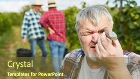  Presentation with grape - PPT layouts featuring winegrower-with-a-hand-refractometer background and a tawny brown colored foreground