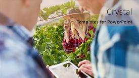  Presentation with computers - PPT theme having winegrowers-with-tablet-computers-online background and a coral colored foreground