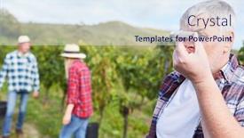  Presentation with grape - Audience pleasing slides consisting of winemaker-or-winegrower-measures backdrop and a sky blue colored foreground
