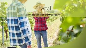  Presentation with grape - Amazing presentation theme having winemaker-with-a-hand-refractometer backdrop and a yellow colored foreground