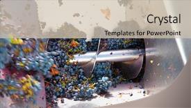  Presentation with cabernet sauvignon - PPT theme enhanced with winemaking with cabernet sauvignon grape background and a soft green colored foreground