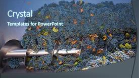  Presentation with cabernet sauvignon - Slide deck having wine production - corkscrew crusher destemmer in winemaking background and a ocean colored foreground