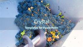  Presentation with cabernet sauvignon - Audience pleasing theme consisting of wine production - corkscrew crusher destemmer in winemaking backdrop and a teal colored foreground