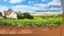  Presentation with vineyard - Cool new slides with empty wooden table with vineyard backdrop and a light blue colored foreground