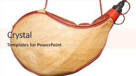  Presentation with under water life - Colorful PPT layouts enhanced with wineskins - wineskin under the white background backdrop and a lemonade colored foreground