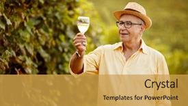  Presentation with grape - Slides with wineyard - grape harvest- smiling winemaker background and a yellow colored foreground