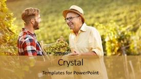  Presentation with vineyard - Cool new PPT theme with wineyard - grapes in vineyard- father backdrop and a yellow colored foreground