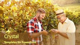  Presentation with grape - Slides having wineyard - smiling father and his son background and a tawny brown colored foreground