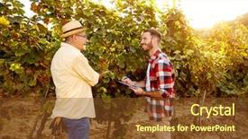  Presentation with grape vine - Colorful PPT layouts enhanced with wineyard - smiling father and son controlling backdrop and a tawny brown colored foreground