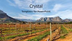  Presentation with cape town - Cool new presentation design with wineyard - view across vineyards landscape backdrop and a light blue colored foreground