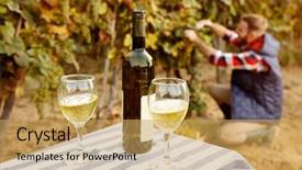  Presentation with vineyard - Beautiful theme featuring wineyard - vineyard family tradition - product backdrop and a yellow colored foreground