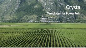  Presentation with mountain and couples - Audience pleasing theme consisting of wineyard and mountain in bosnia backdrop and a gray colored foreground