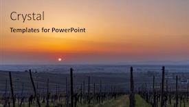  Presentation with france - Slide set enhanced with wineyard-near-colmar-alsace-france background and a coral colored foreground