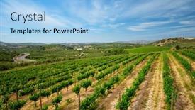  Presentation with crete island - Beautiful PPT layouts featuring wineyard-with-grape-rows-crete backdrop and a light blue colored foreground