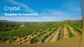  Presentation with crete island - PPT layouts featuring wineyard-with-grape-rows-crete and a  colored foreground