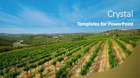  Presentation with crete island - Presentation theme enhanced with wineyard-with-grape-rows-crete and a  colored foreground