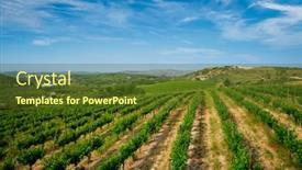  Presentation with crete island - Slide set with wineyard-with-grape-rows background and a tawny brown colored foreground