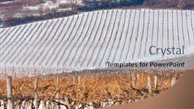  Presentation with hungary - Theme with wineyards-near-sarospatak-tokaj-region background and a light gray colored foreground