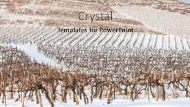  Presentation with hungary - Cool new PPT theme with wineyards-near-sarospatak-tokaj-region backdrop and a soft green colored foreground