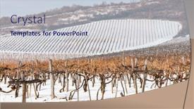  Presentation with cordillera ar region - Presentation theme with wineyards-near-sarospatak-tokaj-region background and a lemonade colored foreground