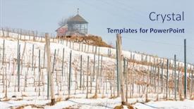  Presentation with region - Slides consisting of wineyards-near-vinicky-tokaj-region background and a lemonade colored foreground