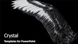  Presentation with young black couples hiking - Cool new presentation design with wing of young black swan backdrop and a black colored foreground