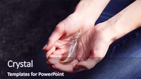  Presentation with holding hands - Audience pleasing slides consisting of wing up people - hands holding a feather close-up backdrop and a wine colored foreground