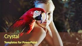  Presentation with food and beauty - Slides with wing up people - sensual blonde beauty posing background and a  colored foreground