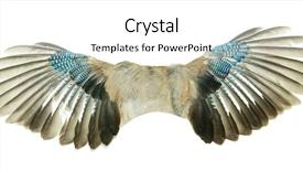  Presentation with fairy - Cool new PPT theme with wings backdrop and a white colored foreground