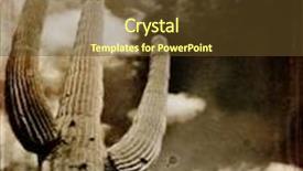  Presentation with saguaro - PPT layouts featuring wintage photograph of saguaro cactus in arizona with sky and clouds background and a tawny brown colored foreground