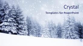  Presentation with winter - Audience pleasing PPT theme consisting of winter - christmas background with snowy fir backdrop and a sky blue colored foreground