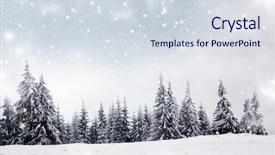  Presentation with winter - Amazing slides having winter - christmas background with snowy fir backdrop and a sky blue colored foreground