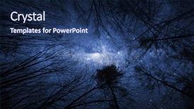  Presentation with elements - Beautiful PPT layouts featuring winter abstract - silhouette of trees on strary backdrop and a  colored foreground